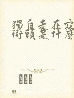 独自走在寂寞的街头是什么歌