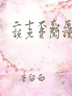 二十不惑原著小说免费阅读