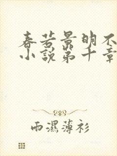 春若景明不相逢小说第十章