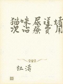 猫咪尿道堵塞一次治疗费用