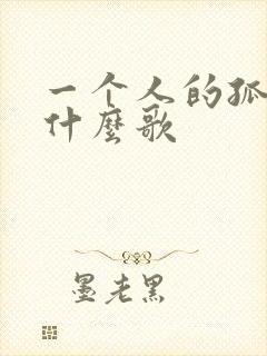 一个人的孤独是什么歌