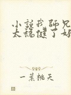 小说我师兄实在太稳健了好看吗