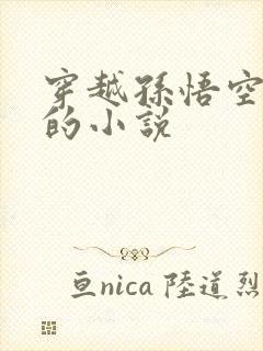 穿越孙悟空师兄的小说