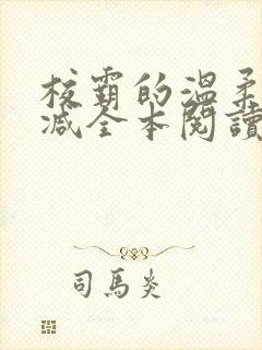 校霸的温柔无删减全本阅读