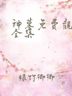 神墓免费观看 全集