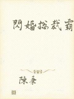 闪婚总裁霸道宠