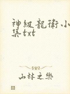 神级龙卫小说全集txt