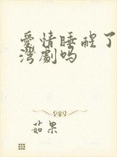 爱情睡醒了是台湾剧吗