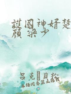 护国神婿楚尘宋颜 梁少