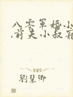 八零军婚小辣媳,前夫小叔宠不停简介