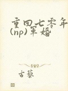 重回七零年代文(np)军婚