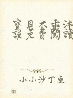 宝贝不乖沐政小说免费阅读80