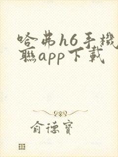 哈弗h6手机互联app下载