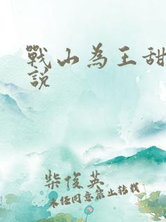 战山为王甜宠小说