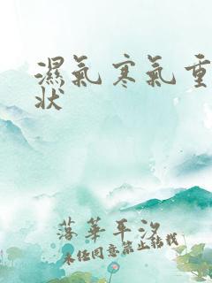 湿气寒气重的症状