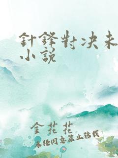 针锋对决未删减小说