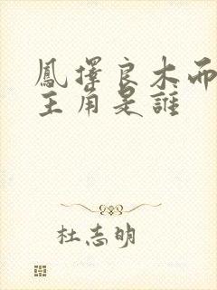 凤择良木而栖男主角是谁