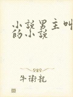 小说男主叫林然的小说