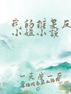 我的推是反派大小姐小说