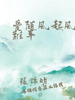 爱随风起风止意难平