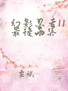 幻影忍者11季最后两集