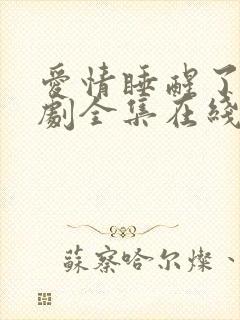 爱情睡醒了电视剧全集在线观