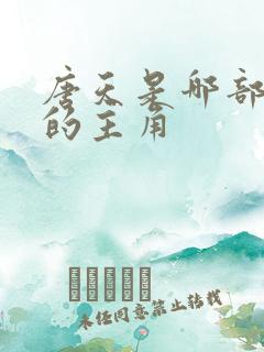 唐天是哪部小说的主角