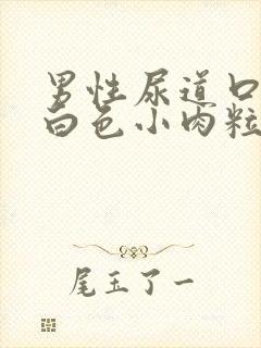 男性尿道口边有白色小肉粒