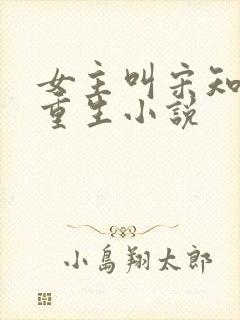 女主叫宋知意的重生小说