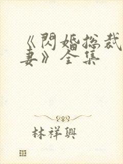 《闪婚总裁契约妻》全集