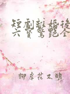 短剧离婚后她带六宝惊艳全球免费观看