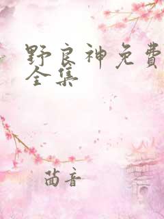 野良神免费观看全集