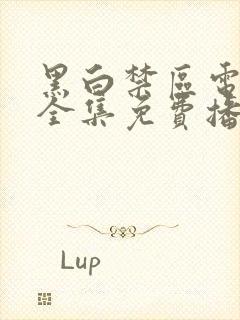 黑白禁区电视剧全集免费播放