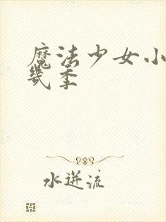 魔法少女小圆有几季