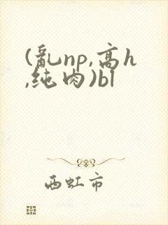 (乱np,高h,纯肉)bl