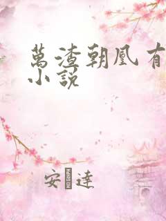 万渣朝凰有没有小说