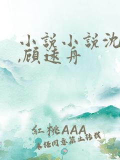 小说小说沈明月,顾远舟