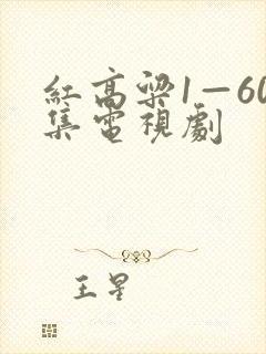 红高粱1—60集电视剧