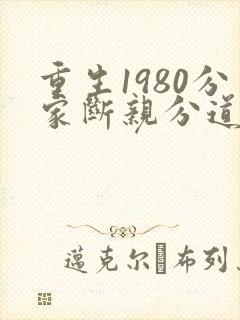 重生1980分家断亲分道的小说