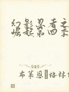 幻影忍者之神龙崛起第四季