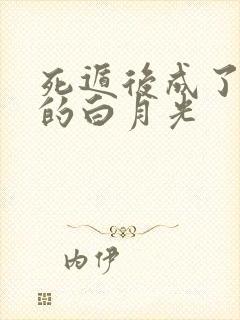 死遁后成了师尊的白月光