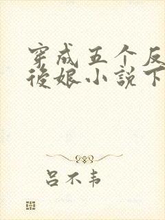 穿成五个反派的后娘小说下载