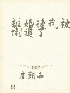 离婚后我被前夫倒追了