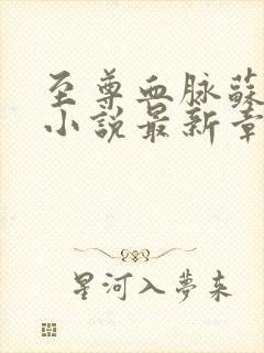 至尊血脉苏信的小说最新章节