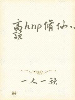 高hnp修仙小说