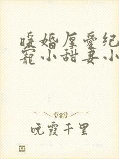 暖婚厚爱纪总独宠小甜妻小说