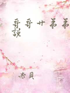 哥哥艹弟弟的小说