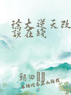 徐大逆天改命小说在线