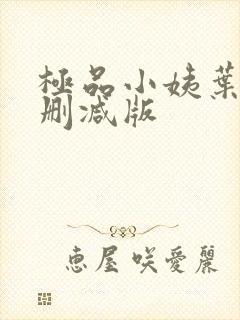 极品小姨叶凡无删减版