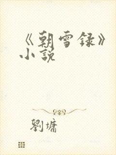 《朝雪录》原著小说